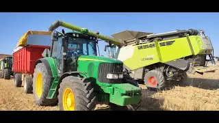 Claas Lexion 670 sunflower