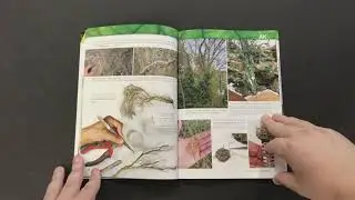MichToy FLIP-THRU: MASTERING VEGETATION IN MODELING - LEARNING SERIES N&ordm;10 BY AK INTERACTIVE