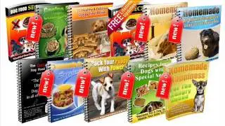 Dog Food Secrets - The Real pet food industry secrets