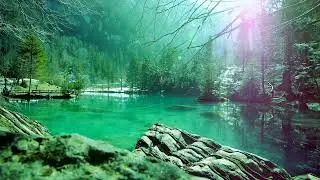 Affectionate Breathing | Mindfulness Exercises