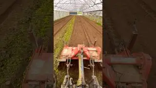 Premi&egrave;res plantations de 2026 sous serre