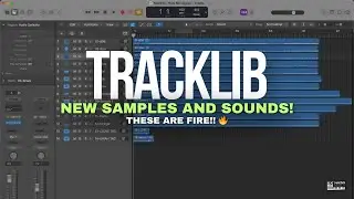 Tracklib - Use This Tool To Make FIRE Hip Hop, Trap, & RNB Type Beats