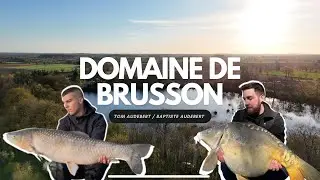 DOMAINE DE BRUSSON - P&ecirc;che de la carpe