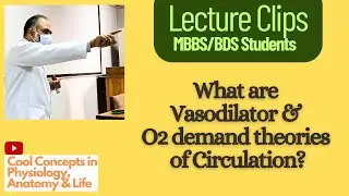 What are Vasodilator & O2 demand theories of Circulation?  #circulation #physiology