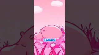 Самая первая мелодия