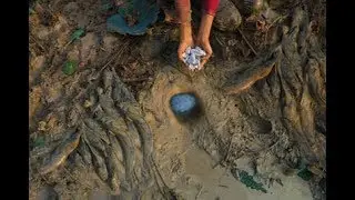 Experiment: With Chemical Rocks Catch Fish From Deep Hole