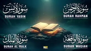 Most Beautiful Tilawat | Surah Yaseen | Surah Rahman | Surah Waqiah | Surah Mulk | By Alla Aqel