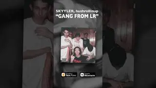 SKYTLER, hushrollinup - gang from LR