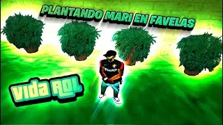 Voy al lugar más peligroso de Vida Roleplay (GTA RP) (SAMP)