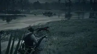 Locations for the (Florida) Panther [Red Dead Redemption 2]