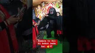 ###animals lover#&hearts;️☺️☺️👍##🙏 please subscribe my channel