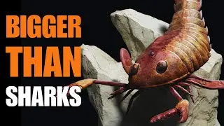 When Arthropods Were Bigger Than Sharks | Jaekelopterus Documentary