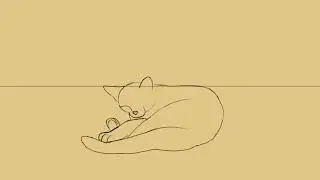 Animal study - IADT animation portfolio