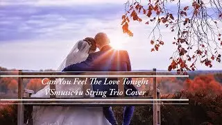 Can You Feel The Love Tonight - VSmusic4u String Trio Long Island NY| The Best Disney Wedding Music