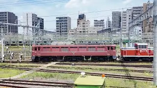 EF81 81+DE10 1704 [2024.7.31]