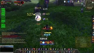 SoD Phase 2 Enhancement Shaman PvP