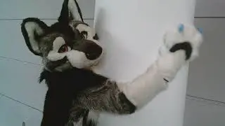 Chipper the Cheeky Wolf!