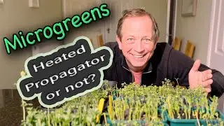 Do you need a heated propagator? | Results of the 1st Microgreens trial