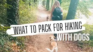 What I Pack for Hiking with my Dog
