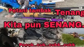Pengendalian Hama Pecuk..BERSAMA  @sniperbucak5912 #hunting #berburu #burungpecuk