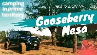 Apple Valley | Отдельный кемпинг на территории PRIME | Национальный парк ZION | Gooseberry Mesa