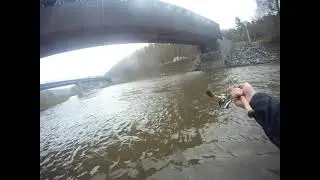 Schoharie Creek Fishing