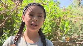 Volunteers Help Clean Up The LA River