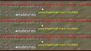 Hypixel Skyblock mute speedrun any% wr