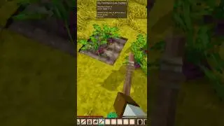 Wild Crop Hack (Patched Out in 1.20!) #gaming #gamingtips #vintagestory #vintagestorysurvival