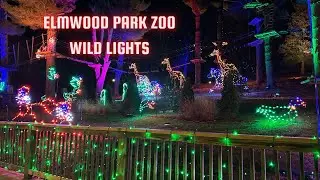 Elmwood Park Zoo Wild Lights