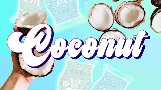 Best Scentsy Scents Coconut | Scentsy 6-pack pick | Jami Jo Sells Wax