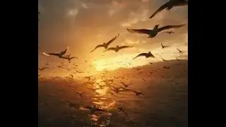 Migratory Birds' V-Formation SECRET: Unlock 20% More Energy & LEADERSHIP in Your Career!