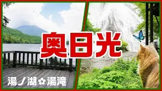 絶景ドライブ、奥日光、湯滝と湯ノ湖を散策