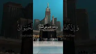 #Ummah#Muslimah#MuslimYouth#RevertToIslam#BrotherhoodInIslam