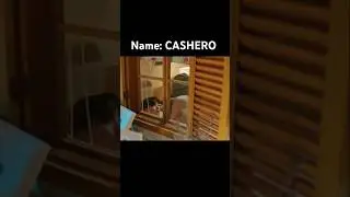 Naughty Girl 👀🌚#kdrama #cashero #LeeJunho #KimHyejun #LeeChaemin #Netflix