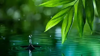 Spa Music &ndash; Pool of Tranquility | Soothing, Peaceful