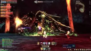 Blade and Soul Online Dark Wing Instance Dungeon Boss Fight