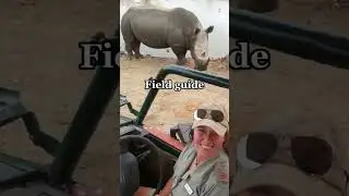 Jobs I&rsquo;ve worked in the Wildlife Conservation Industry