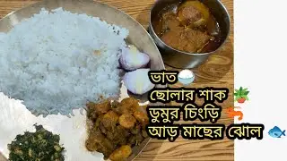 Home made eating show || Rice, Vegitables, Fish, Salad etc.#eatingshow #trending #youtubeofficial 