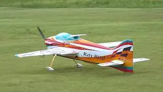 F3A RAYBIRD