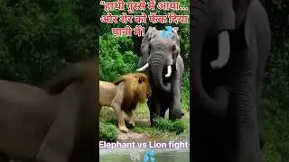 Elephant Angry Reaction 😱 | हाथी ने शेर को पानी में फेंक दिया 🐘💦 | Amazon Jungle Secrets