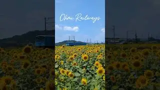 🇯🇵Ohmi Railway