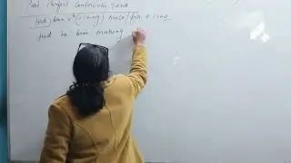 Past perfect continuous tense 