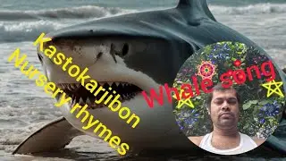 Sea Whale &ndash; The Giant of the Ocean  l very cute scene l  @  tuhina khatun 
