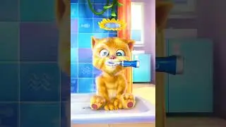 Talking Ginger app 