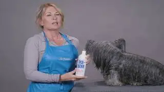 Add Volume to Dog's Coat: Chris Christensen Thick-N-Thicker Volumizing Protein