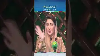 Maryam Nawaz Introduce &ldquo;Business Card