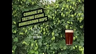 Chinook IPA: All Grain Tasting Homegrown Hops