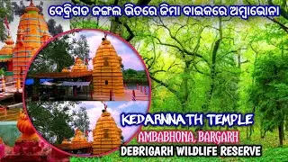 ambabhona forest reserve | ambabhona,bhatli between on the way from situated the temple#sambalpur