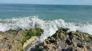 Blowing Rocks Preserve 5 | Jupiter Island, FL | 2025-12-12